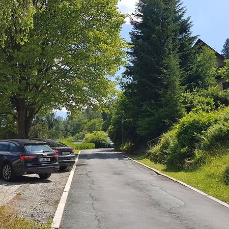 Villa Goldbrunnen Ferienwohnung 3 Bad Elster Buitenkant foto