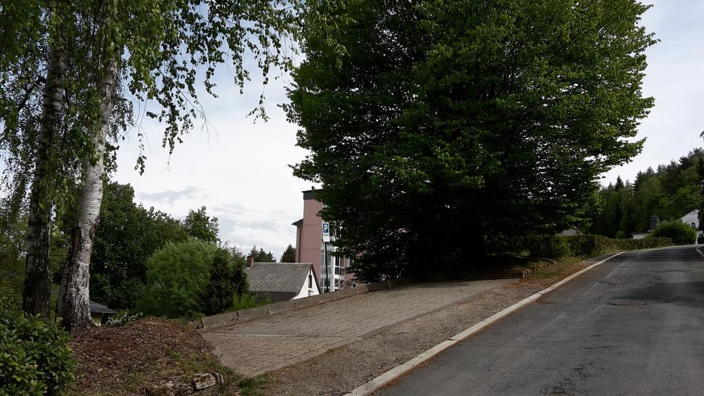 Villa Goldbrunnen Ferienwohnung 3 Bad Elster Buitenkant foto